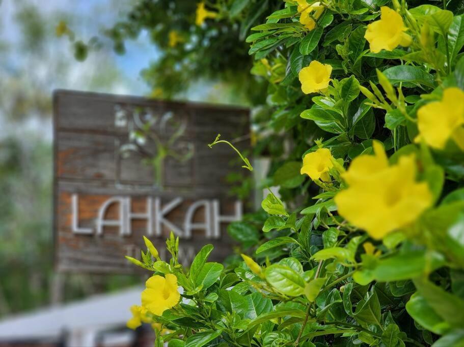 Amazing Jungle Retreat Lahkah Tulum Lägenhet Exteriör bild