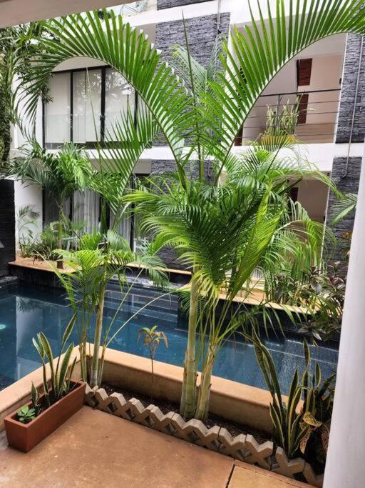 Amazing Jungle Retreat Lahkah Tulum Lägenhet Exteriör bild