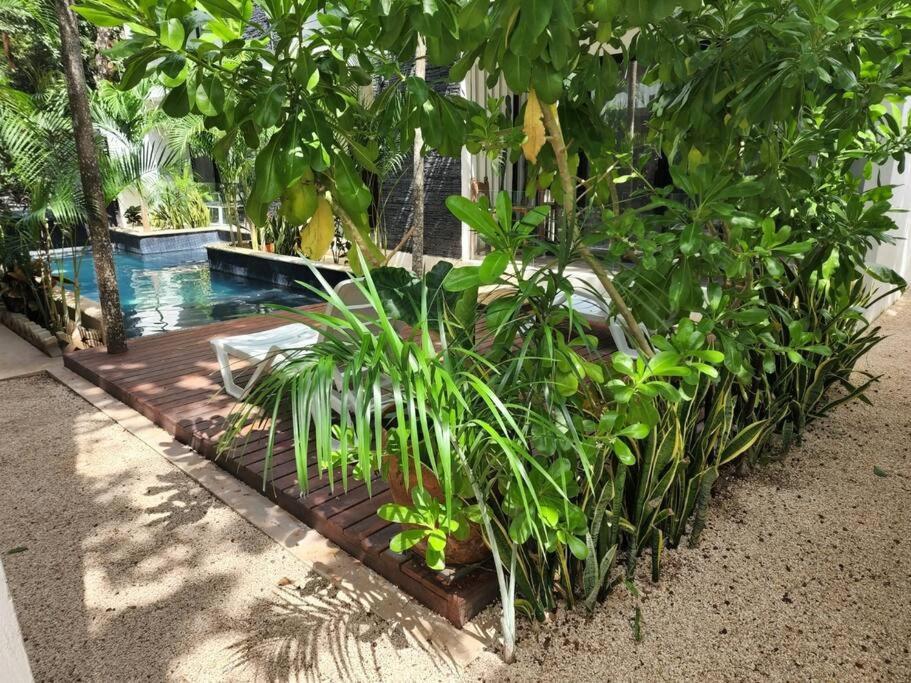 Amazing Jungle Retreat Lahkah Tulum Lägenhet Exteriör bild